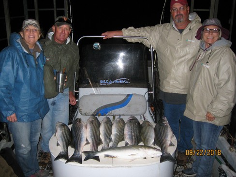 Nice Striped Bass